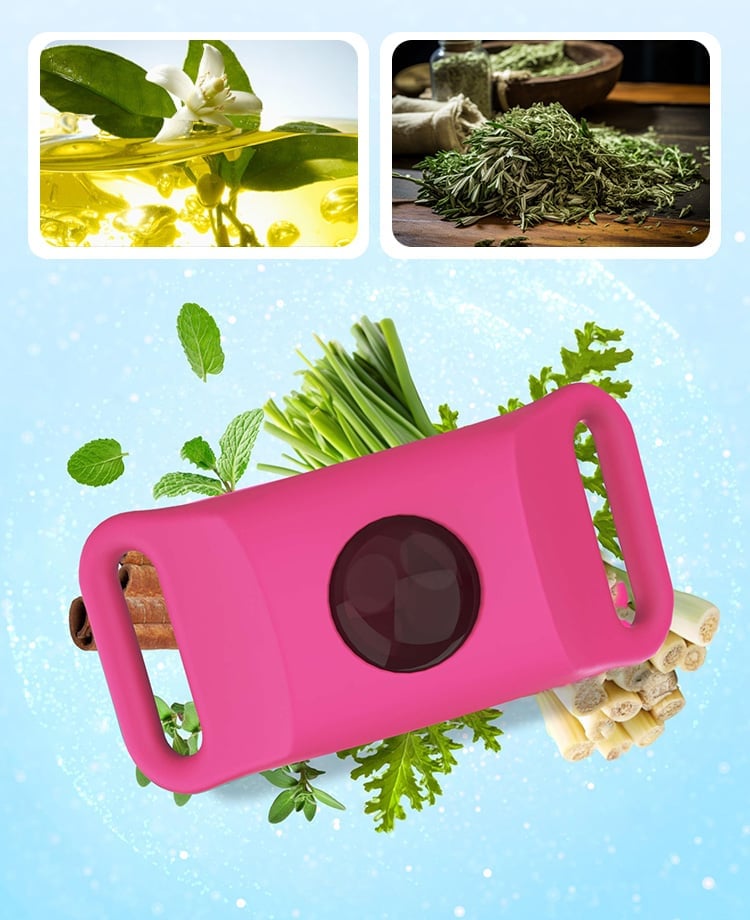 12 Months Flea and Tick Free