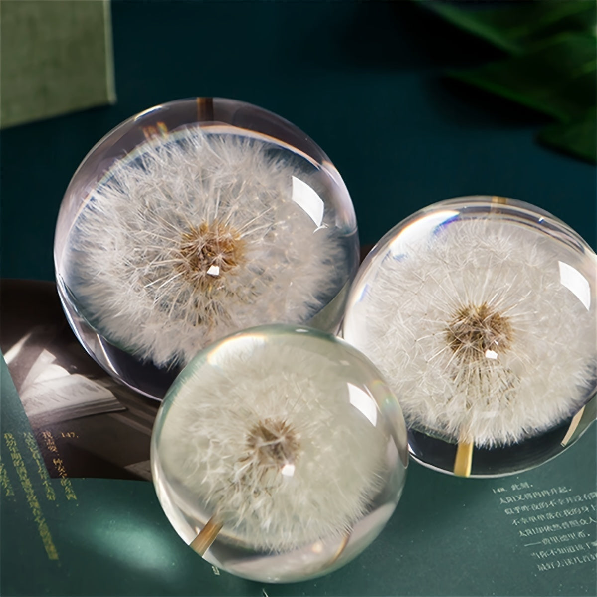 A Real Dandelion Crystal Ball, Resin Lens Natural Plant Specimen Flower Crystal Ball, Christmas Love Gift Home Decoration Craft Ball, Paper Town Table Decoration, Christmas Decoration 2.76in