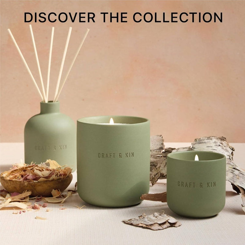 Earthenware White Birch Cedar Reed Diffuser Set with 6.7oz Alcohol - Essential Oil Diffuser with Feather Reed Sticks, Elegant Teal Green Glass Bottle & Natural Aroma for Home Decor, Air Freshener, P, Air Freshener For Home, Reed Diffuser Bottle