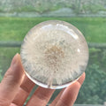 A Real Dandelion Crystal Ball, Resin Lens Natural Plant Specimen Flower Crystal Ball, Christmas Love Gift Home Decoration Craft Ball, Paper Town Table Decoration, Christmas Decoration 2.76in